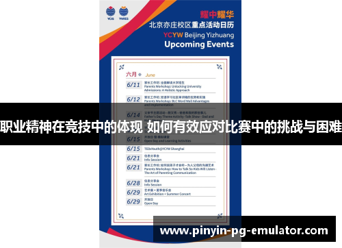 职业精神在竞技中的体现 如何有效应对比赛中的挑战与困难